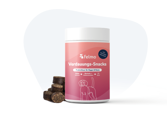 felmo Verdauungs-Snacks