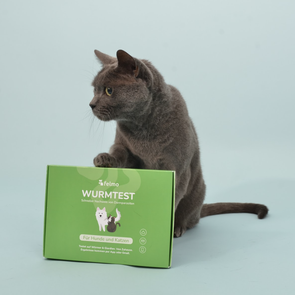 Wurmtest für Katzen
