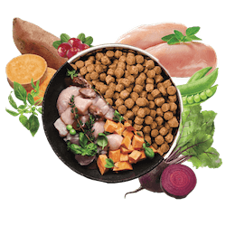 Aus der Vogelperspektive ist eine Schüssel mit Trockenfutter und Nassfutter zu sehen