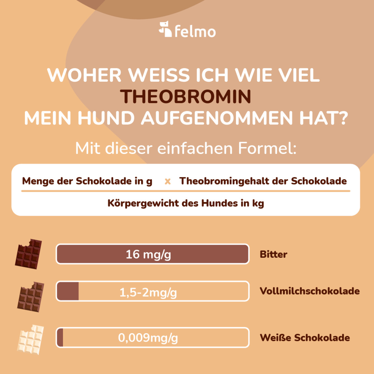 Eine felmo Anleitung um zu verstehen wie viel Schokolade ein Hund gegessen hat