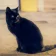 felmo Rezension Lübeck Katze