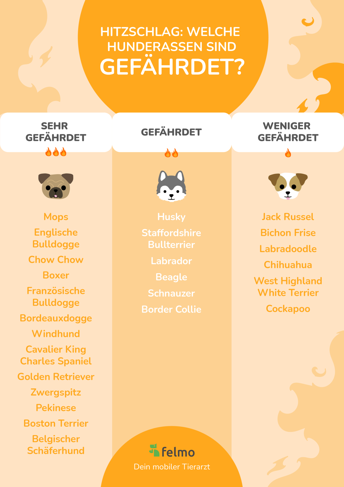 hitzschlag gefährdete hunderassen