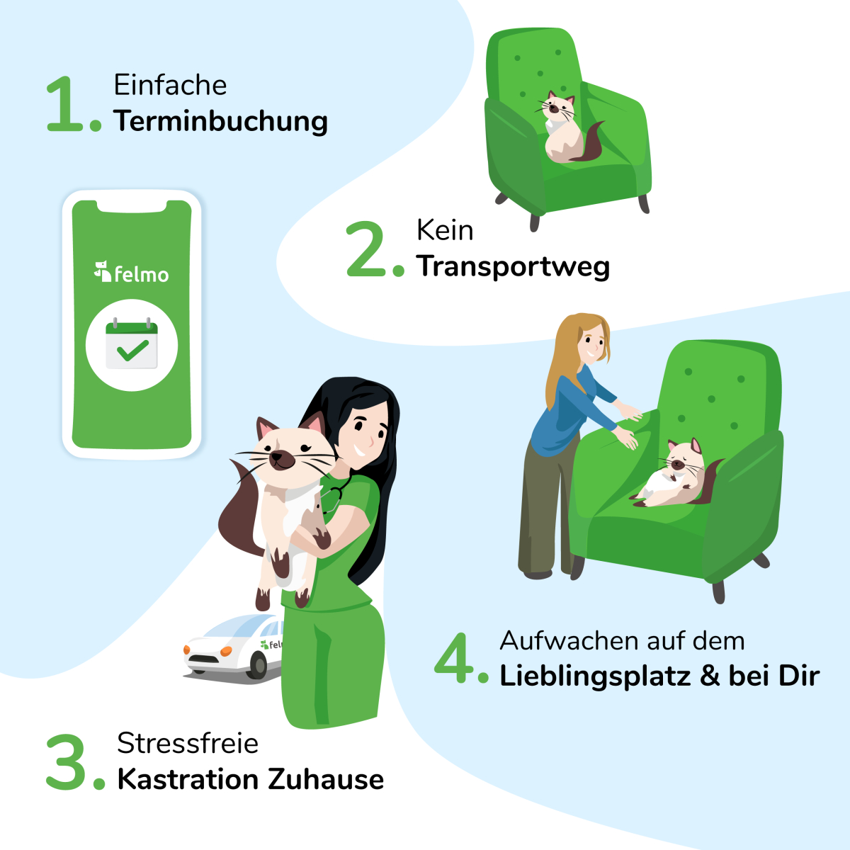 Hausbesuch Kastration für Katze und Kater