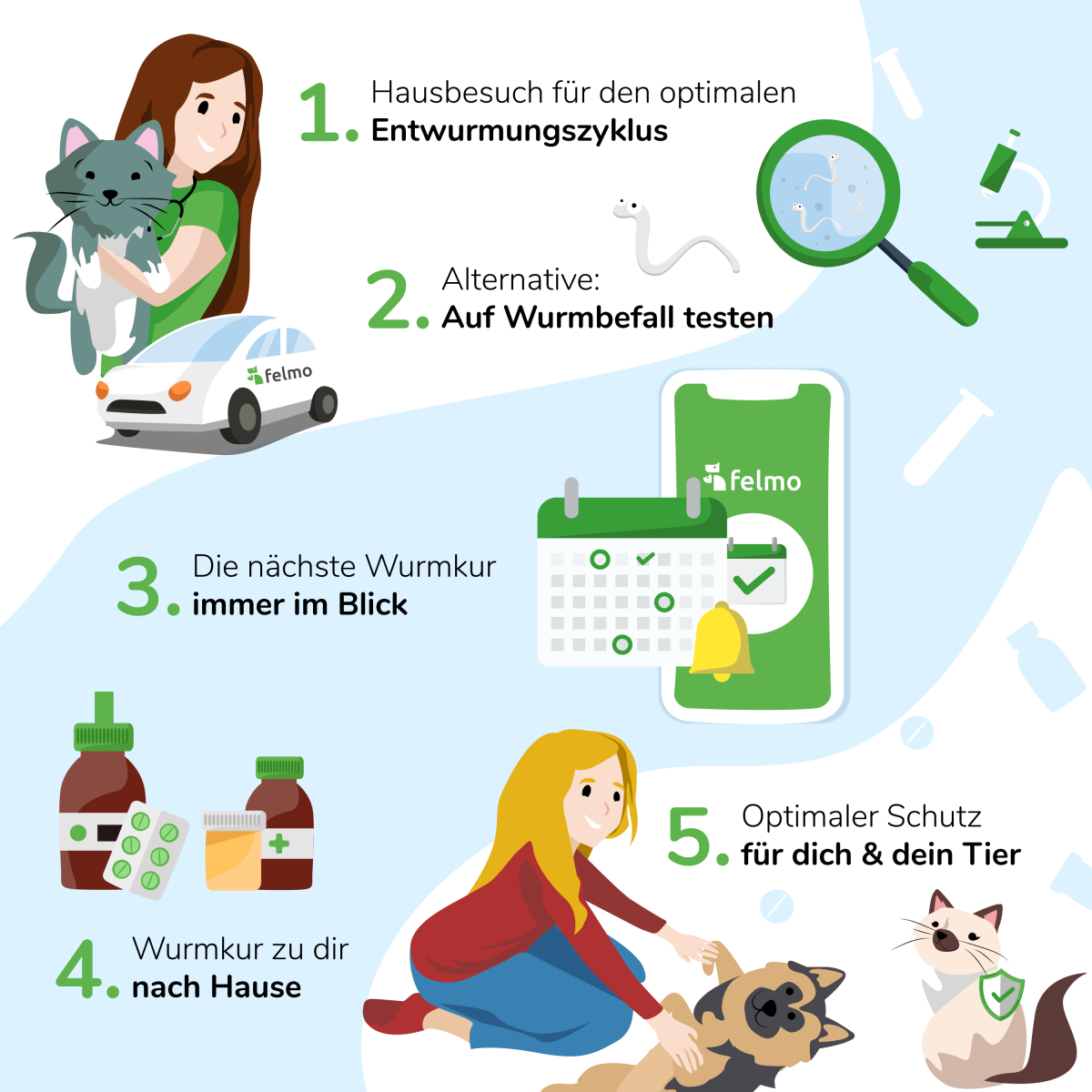 Infografik zum Ablauf der Wurmkur