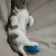 felmo rezension katze julie