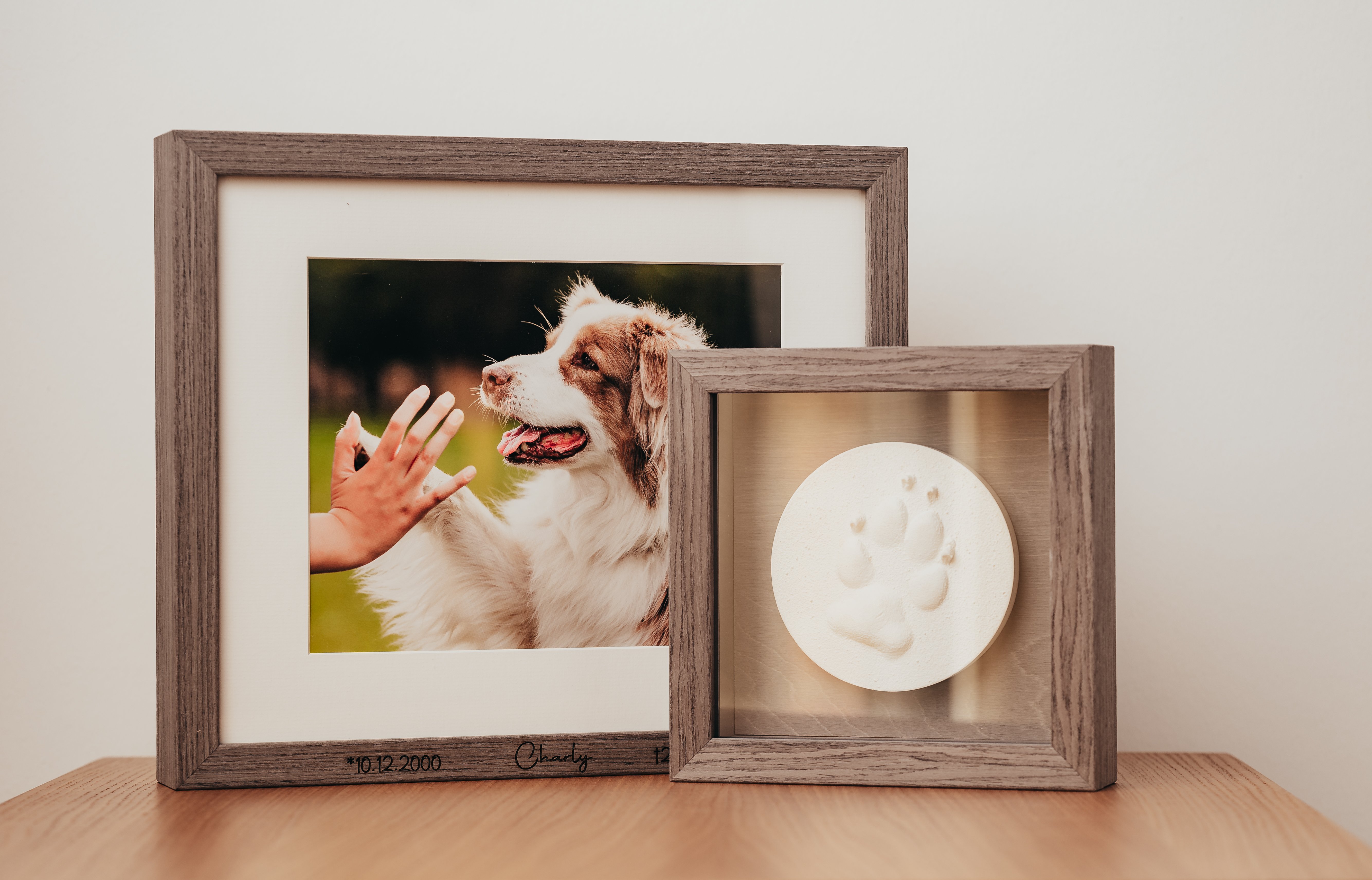 Trauer um den Hund