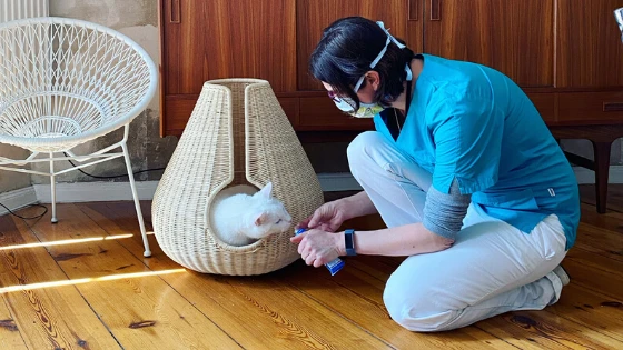 Hausbesuch von felmo - Deine Katze frisst nicht