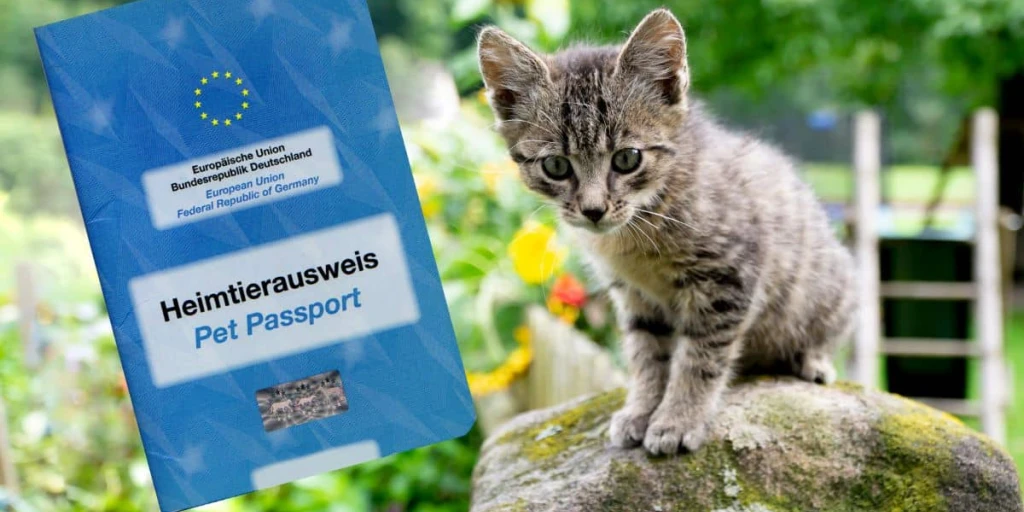 EU-Heimtierausweis-Katze