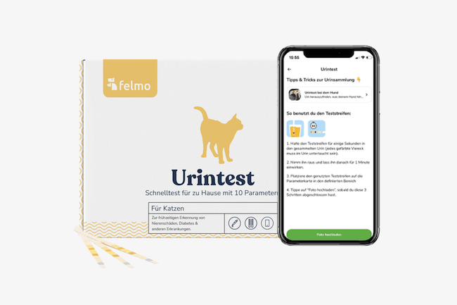 felmo-urintest-fuer-katzen-1
