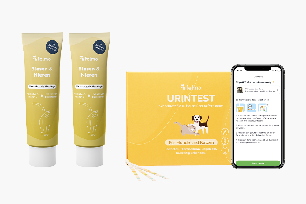 felmo-Blasen-Nieren-Set-Katzen