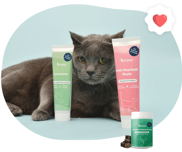 Katze mit Produkten