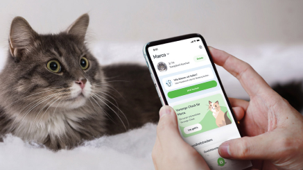 Mensch hält Smartphone mit felmo App in der Hand, Katze sitzt im Hintergrund